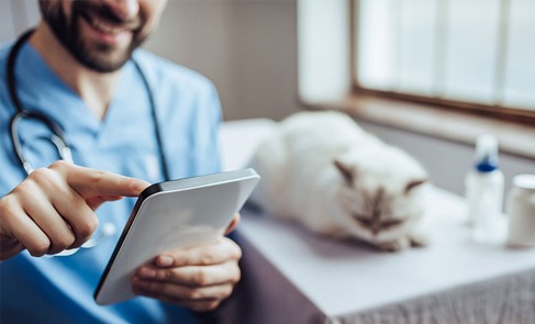 Nace la primera plataforma de compras 100% digital exclusiva para veterinarios