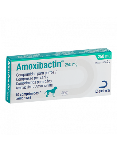 AMOXIBACTIN 250 mg 10 Comprimidos