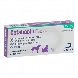 CEFABACTIN 250 mg 10...
