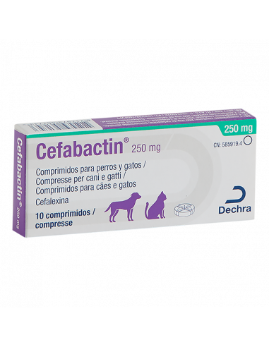 CEFABACTIN 250 mg 10 Comprimdos