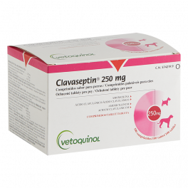 CLAVASEPTIN 250 mg 100...