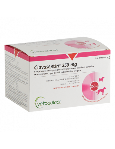 CLAVASEPTIN 250 mg 100 comprimidos