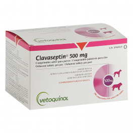 CLAVASEPTIN 500 mg 100...