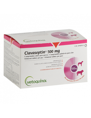 CLAVASEPTIN 500 mg 100 comprimidos