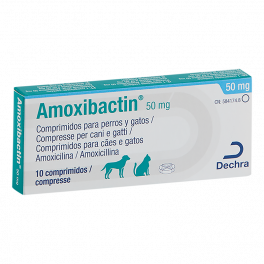 AMOXIBACTIN 50 mg 10...