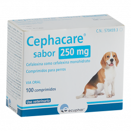 CEPHACARE 250 MG 100 CP
