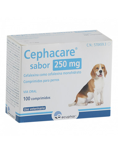 CEPHACARE 250 MG 100 CP