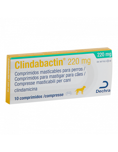 CLINDABACTIN 220 MG 10 COMPRIMIDOS