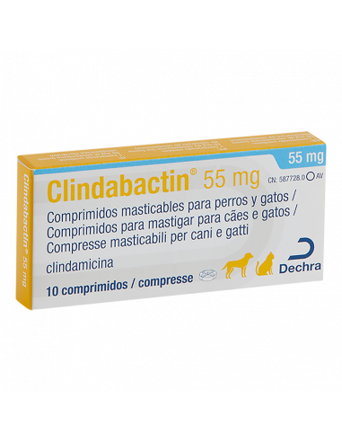 CLINDABACTIN 55 MG 10 COMPRIMIDOS