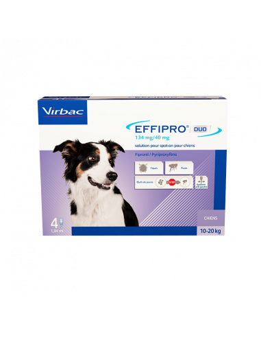 EFFIPRO DUO 134 mg/40 mg SPOT-ON...