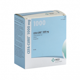 CEFA-CURE 1000 mg 50...