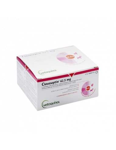 CLAVASEPTIN 62,5 mg 100 comprimidos