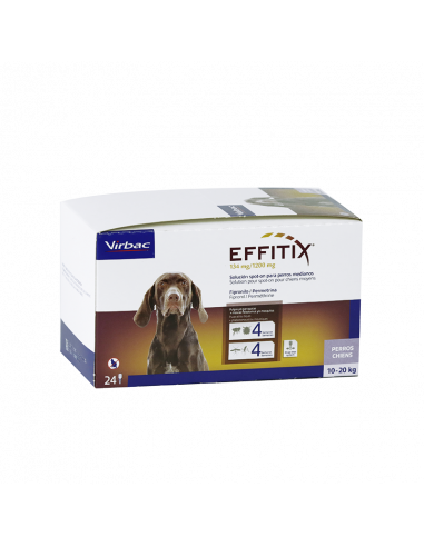 EFFITIX (M) 134 mg/1200 mg SOLUCION...