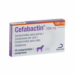 CEFABACTIN 1000 mg 10...