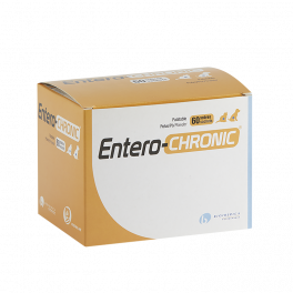 ENTERO-CHRONIC 60 sobres