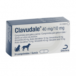 CLAVUDALE 40 mg/10 mg 24...
