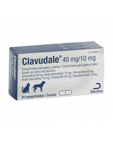 CLAVUDALE 40 mg/10 mg 24 Comprimidos