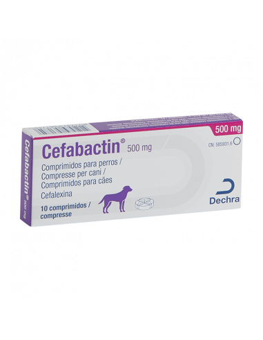 CEFABACTIN 500 mg 10 Comprimdos