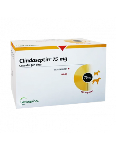 CLINDASEPTIN 75 mg 100 capsulas