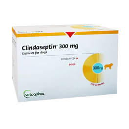 CLINDASEPTIN 300 mg 100...