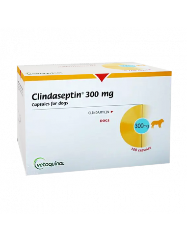 CLINDASEPTIN 300 mg 100 capsulas