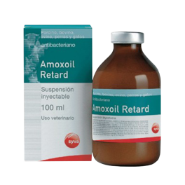 AMOXOIL RETARD 100 ml