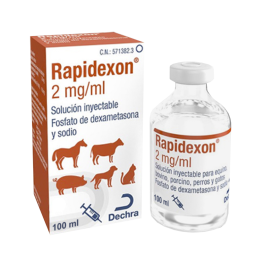 RAPIDEXON 2 mg/ml SOLUCIÓN...