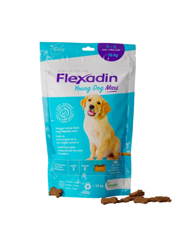 Flexadin Soft Chews Maxi Puppy 60 tabs