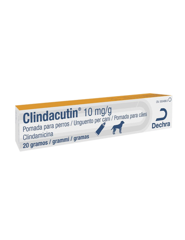 CLINDACUTIN OINTMENT PASTE 10MG/G 20G