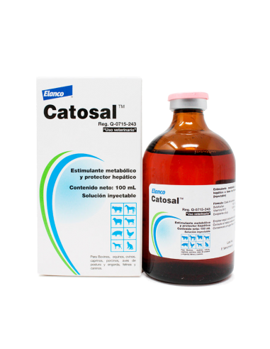 CATOSAL INY 100 ML