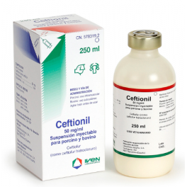 CEFTIONIL 50MG 250 ML SOL...