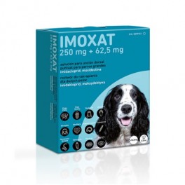 IMOXAT 250MG + 62,5MG 3PIP...