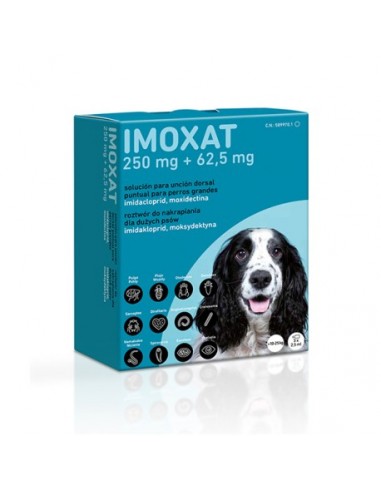 IMOXAT 250MG + 62,5MG 3PIP X 2,5ML...