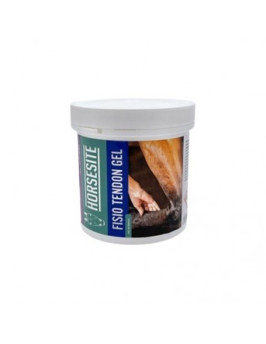 FISIO TENDON GEL 375G