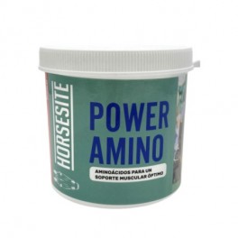 POWER AMINO 500G