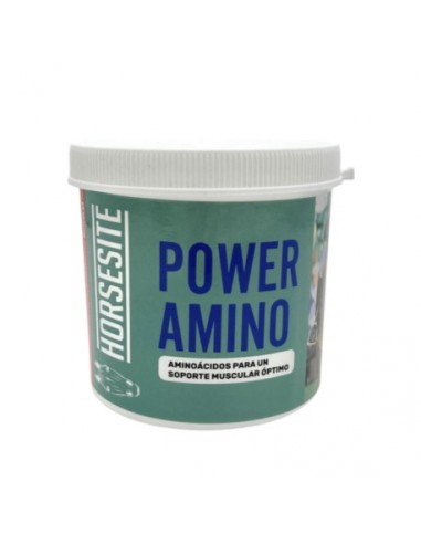 POWER AMINO 500G