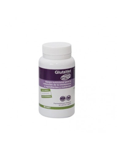 GLUTAVET 60 COMP