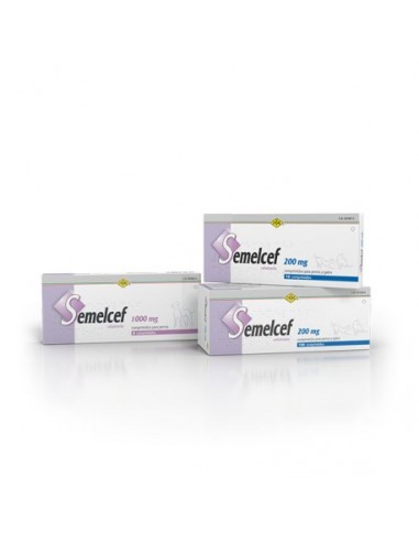 SEMELCEF 1000MG 60 COMP