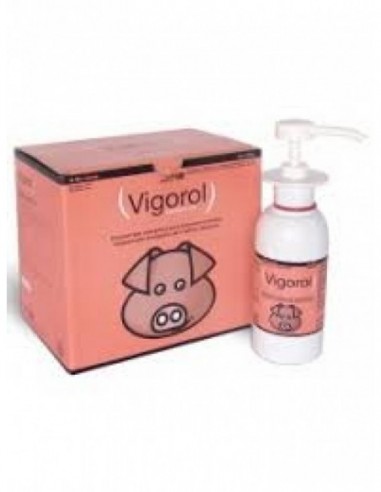 VIGOROL PLUS 6 BOTES DE 250ML