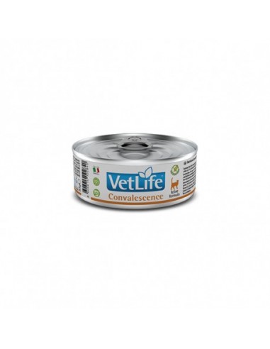 VETLIFE CAT CONVALESCENCE 12X85G