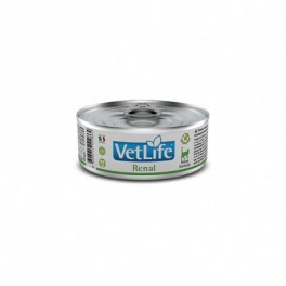 VETLIFE CAT RENAL 12X85G