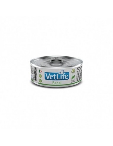 VETLIFE CAT RENAL 12X85G