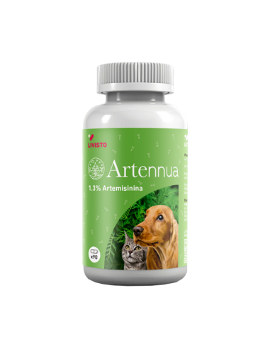 ARTENNUA 90 CAPSULAS